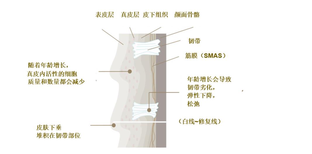 日本干细胞-就这么简单真的可以吗？！【松弛治疗】最前线