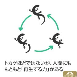 JMT日本干细胞中心-日本再生医疗干细胞解析