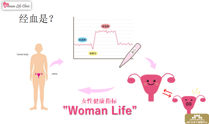 自体经血干细胞治疗卵巢功能问题—日本东京神宫外苑 Woman Life Clinic