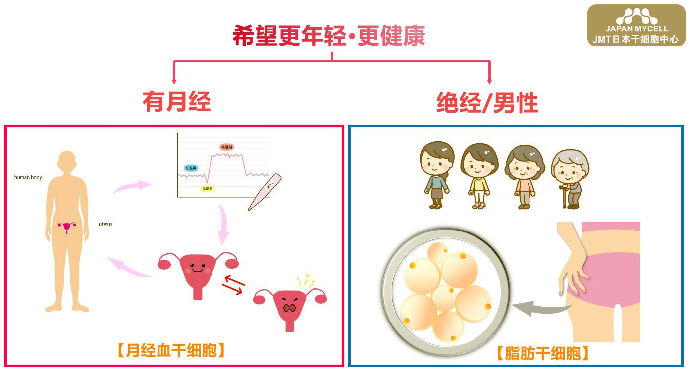 日本干细胞--显微授精（ICSI）治疗不孕不育有哪些优势和风险？