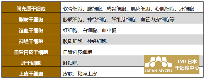 JMT日本干细胞中心-干细胞大致分为三种！简要解释说明ES细胞·iPS细胞·成体干细胞！