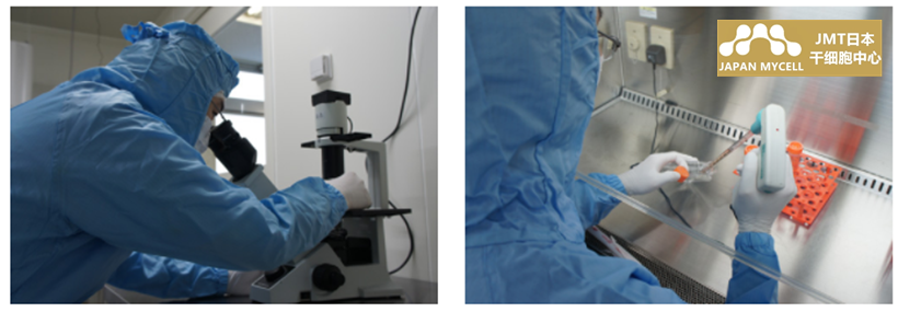 JMT日本干细胞中心-干细胞抗衰老