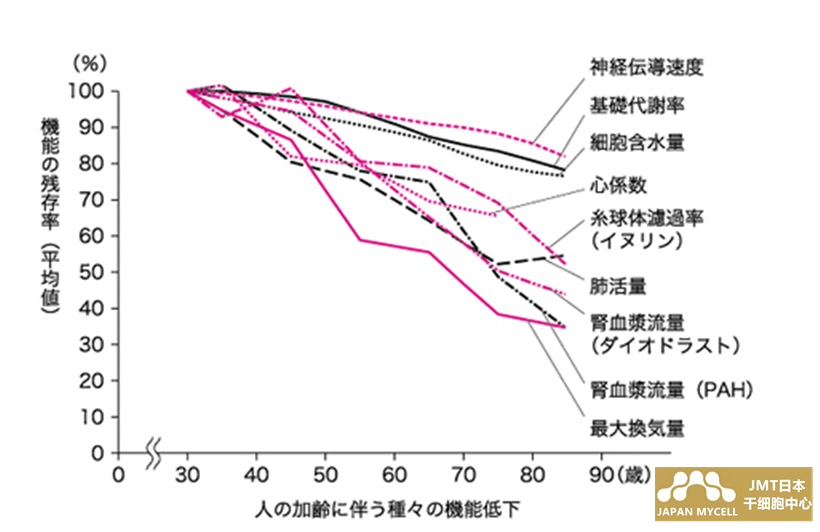 JMT日本干细胞中心-干细胞抗衰老