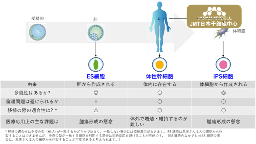 JMT日本干细胞中心-干细胞是什么？有哪些类型？