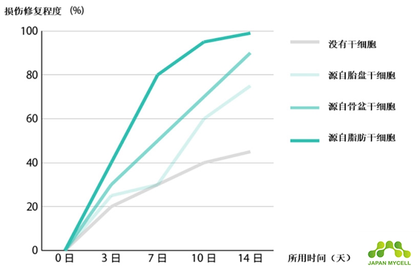 JMT日本干细胞-干细胞具备什么样的潜能 取决于何处采取~去向何处