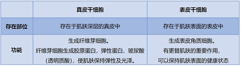 JMT日本干细胞-使用了干细胞的化妆品真的有效吗？使用干细胞的美容方法是？